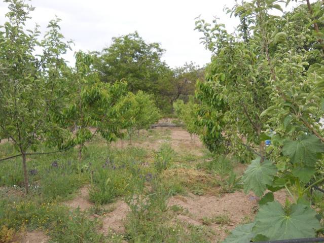 Name:  DSCN6327.jpg
Views: 593
Size:  64.7 KB