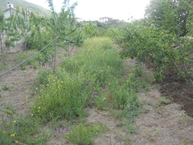 Name:  DSCN6400.jpg
Views: 881
Size:  61.0 KB