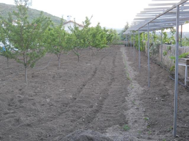 Name:  DSCN6403.jpg
Views: 939
Size:  50.5 KB