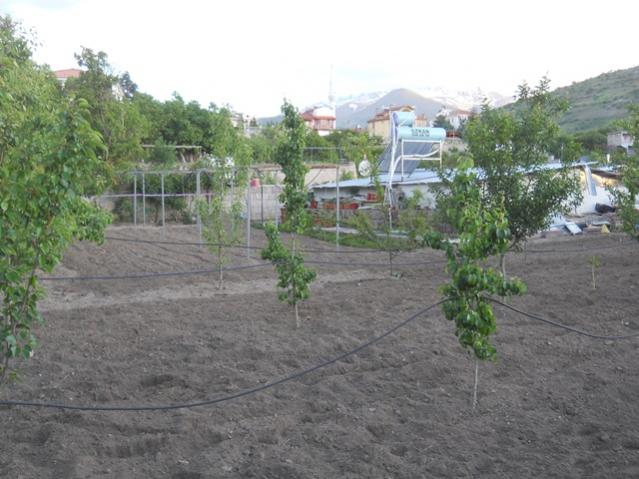 Name:  DSCN6404.jpg
Views: 909
Size:  50.1 KB