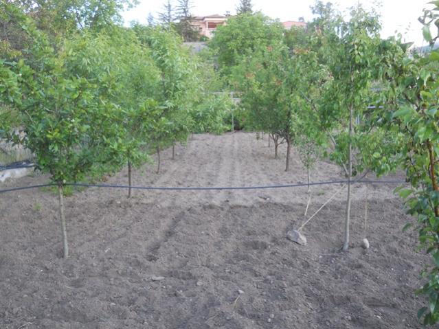 Name:  DSCN6405.jpg
Views: 927
Size:  63.3 KB