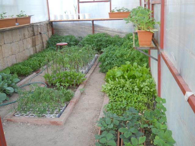 Name:  DSCN6406.jpg
Views: 926
Size:  50.5 KB