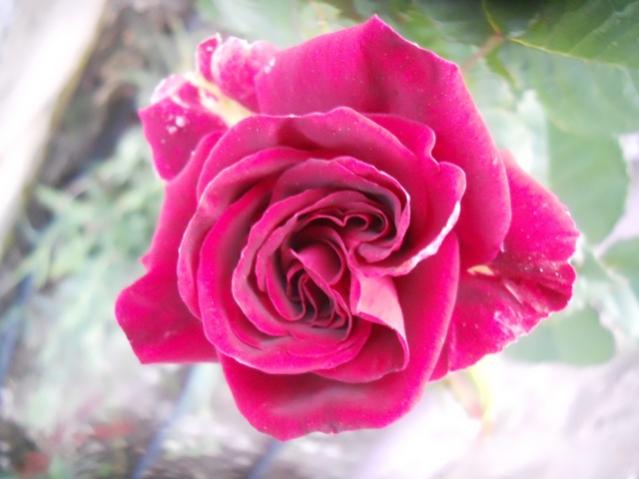 Name:  DSCN6408.jpg
Views: 892
Size:  34.3 KB
