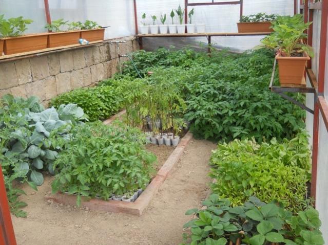 Name:  DSCN6767.jpg
Views: 829
Size:  62.8 KB
