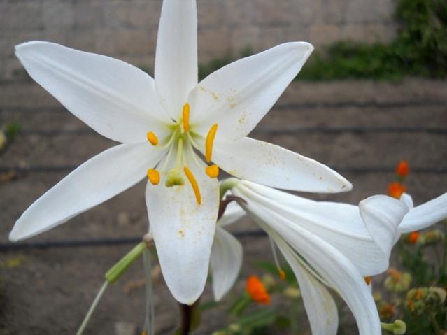Name:  DSCN6856.jpg
Views: 1347
Size:  29.5 KB