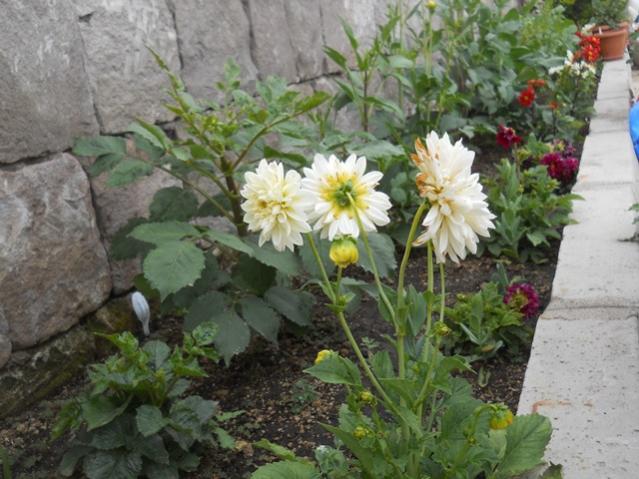 Name:  DSCN7158.jpg
Views: 1031
Size:  55.3 KB