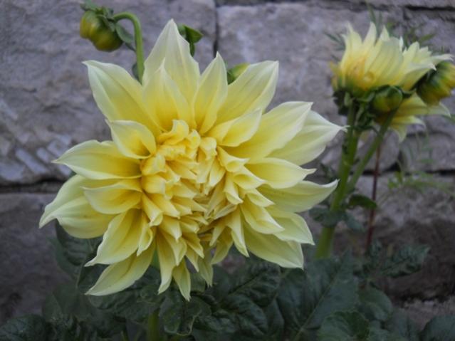 Name:  DSCN7252.jpg
Views: 2042
Size:  36.0 KB
