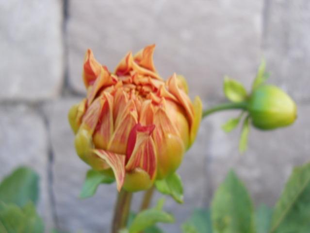 Name:  DSCN7248.jpg
Views: 2080
Size:  22.2 KB