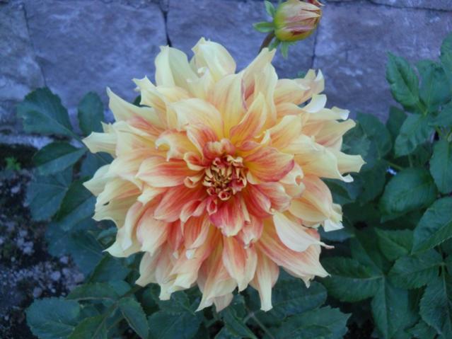 Name:  DSCN7333.jpg
Views: 1909
Size:  41.9 KB