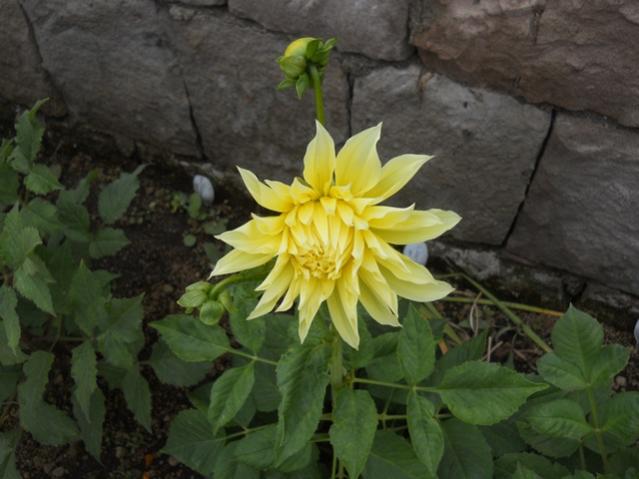Name:  DSCN7370.jpg
Views: 1833
Size:  40.5 KB