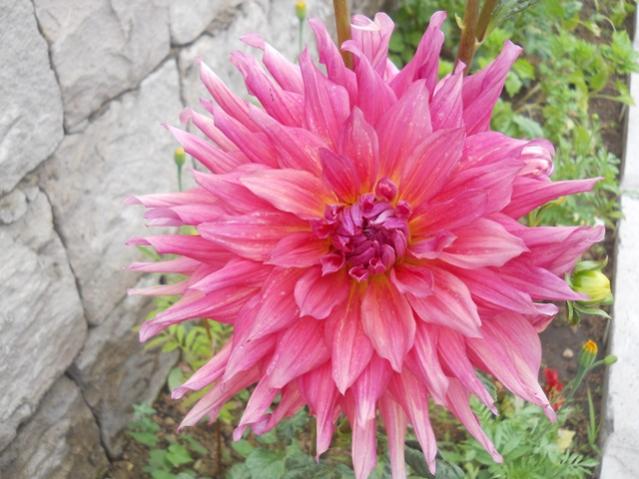 Name:  DSCN7364.jpg
Views: 1842
Size:  50.3 KB