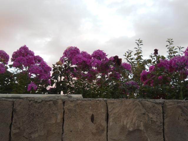 Name:  DSCN7403.jpg
Views: 1618
Size:  40.6 KB