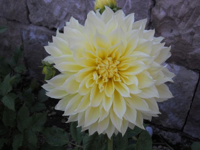 Name:  DSCN7404.jpg
Views: 1604
Size:  33.2 KB