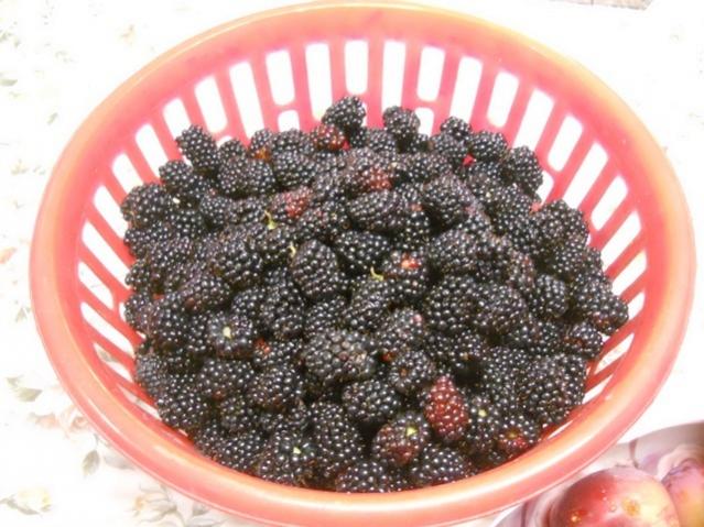 Name:  DSCN7443.jpg
Views: 842
Size:  58.9 KB
