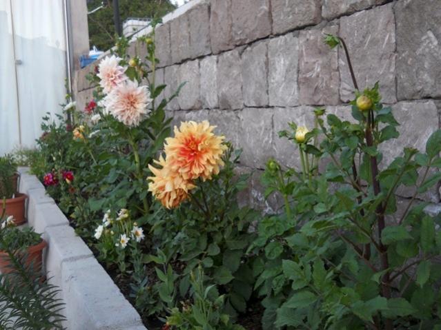 Name:  DSCN7454.jpg
Views: 772
Size:  54.6 KB
