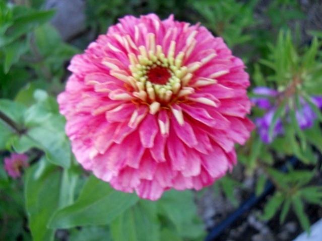 Name:  DSCN7465.jpg
Views: 751
Size:  37.8 KB