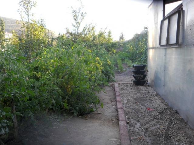 Name:  DSCN8017.jpg
Views: 719
Size:  51.7 KB