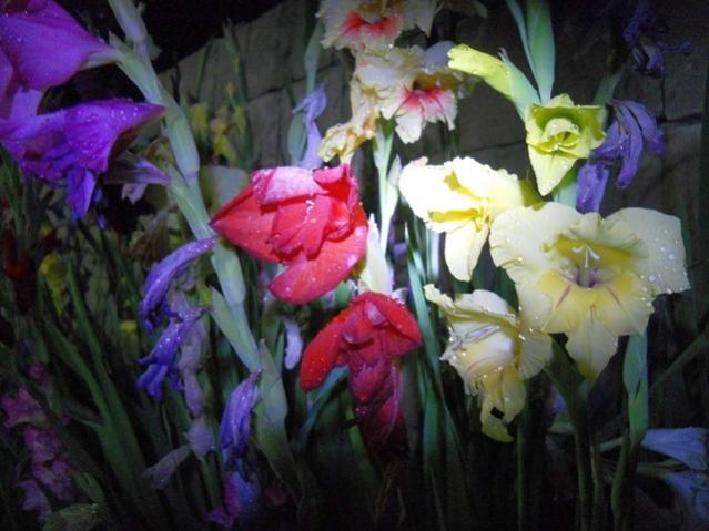 Name:  DSCN8055.jpg
Views: 639
Size:  45.2 KB