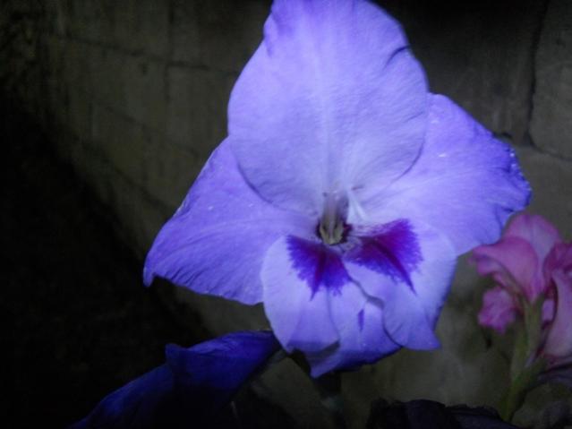 Name:  DSCN8071.jpg
Views: 557
Size:  23.8 KB