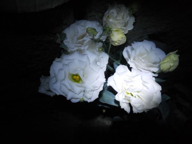 Name:  DSCN8077.jpg
Views: 570
Size:  23.2 KB