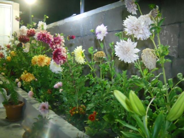Name:  DSCN8108.jpg
Views: 566
Size:  48.7 KB