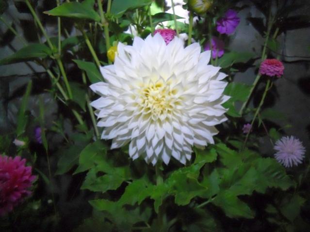 Name:  DSCN8099.jpg
Views: 566
Size:  38.8 KB