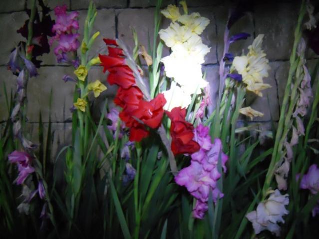 Name:  DSCN8109.jpg
Views: 546
Size:  41.5 KB