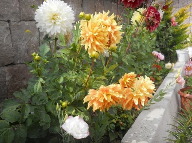 Name:  DSCN8121.jpg
Views: 548
Size:  58.9 KB