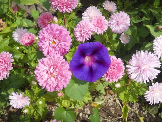 Name:  DSCN8120.jpg
Views: 545
Size:  64.3 KB