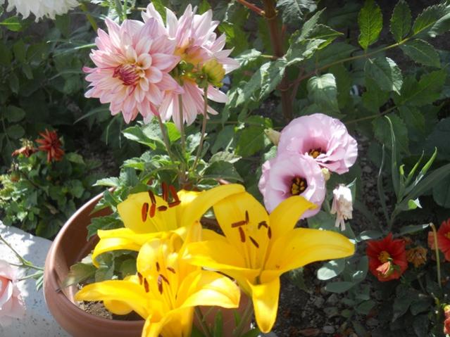 Name:  DSCN8127.jpg
Views: 545
Size:  55.0 KB