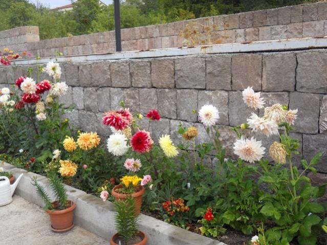 Name:  DSCN8219.jpg
Views: 952
Size:  63.9 KB
