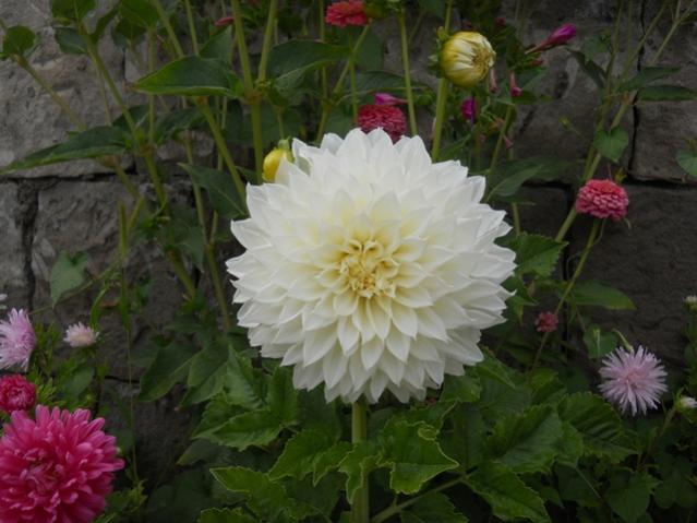 Name:  DSCN8216.jpg
Views: 963
Size:  43.2 KB