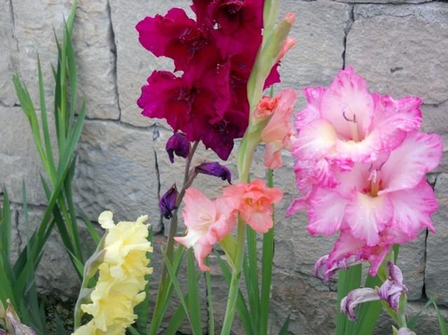 Name:  DSCN8239.jpg
Views: 943
Size:  50.6 KB