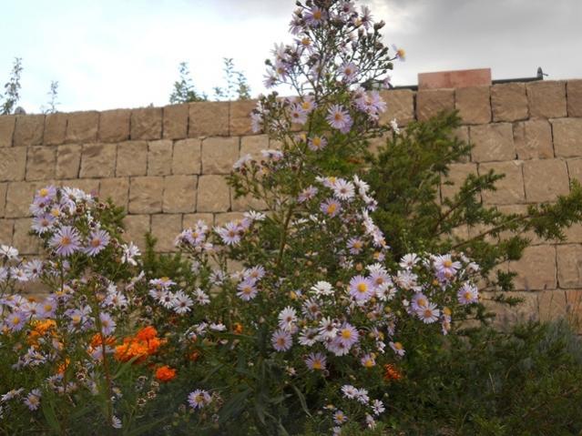 Name:  DSCN8248.jpg
Views: 966
Size:  60.6 KB