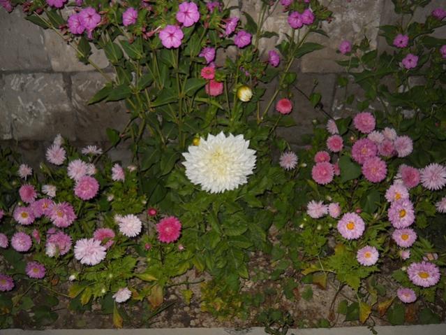 Name:  DSCN8284.jpg
Views: 915
Size:  61.2 KB
