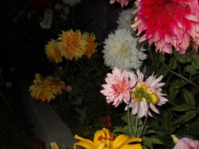 Name:  DSCN8292.jpg
Views: 881
Size:  40.6 KB