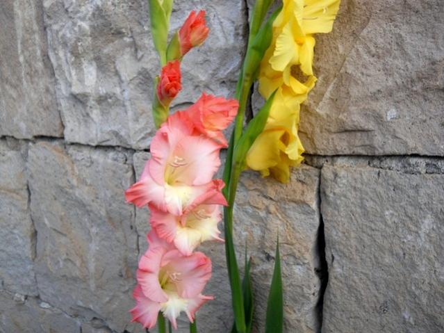 Name:  DSCN8348.jpg
Views: 798
Size:  51.9 KB