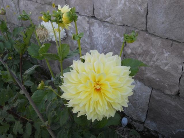 Name:  DSCN8461.jpg
Views: 885
Size:  42.3 KB