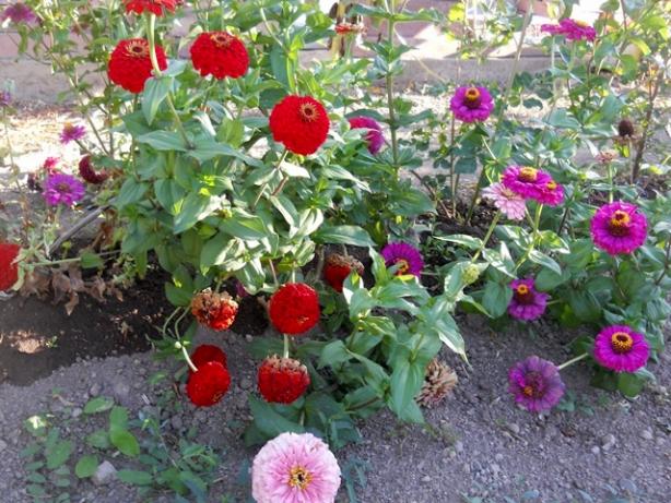Name:  DSCN8574.jpg
Views: 634
Size:  71.8 KB