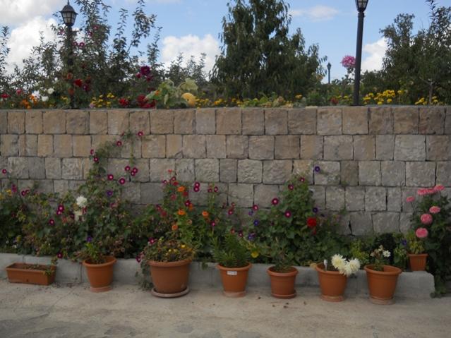 Name:  DSCN8721.jpg
Views: 1387
Size:  54.6 KB