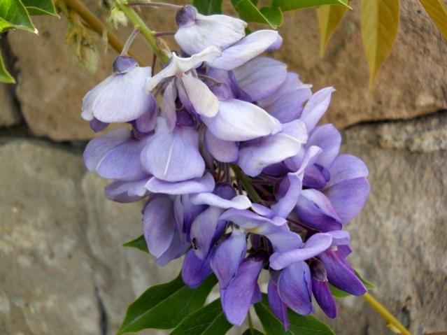 Name:  DSCN8727.jpg
Views: 1393
Size:  41.0 KB