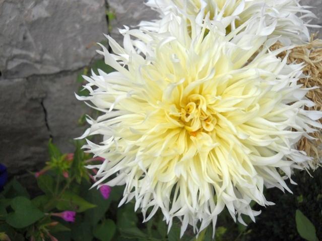 Name:  DSCN8726.jpg
Views: 1415
Size:  44.2 KB