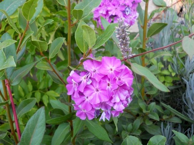 Name:  DSCN8870.jpg
Views: 1084
Size:  53.2 KB