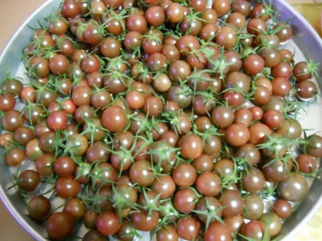 Name:  DSCN8889.jpg
Views: 868
Size:  58.4 KB