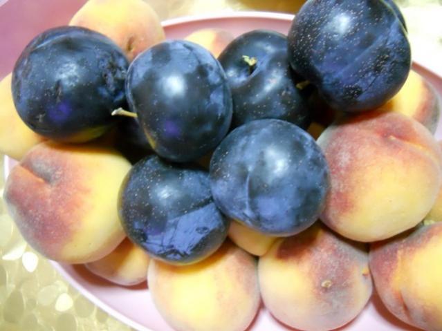Name:  DSCN8894.jpg
Views: 888
Size:  38.0 KB