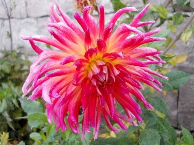 Name:  DSCN8914.jpg
Views: 779
Size:  51.1 KB