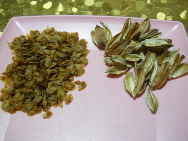 Name:  DSCN8983.jpg
Views: 739
Size:  40.3 KB