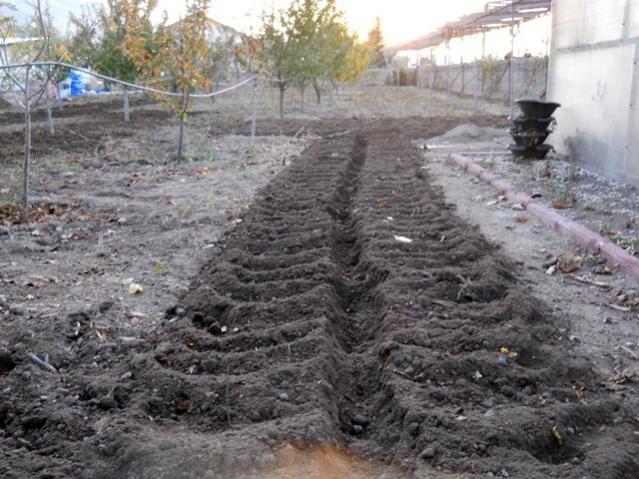 Name:  DSCN9026.jpg
Views: 719
Size:  63.3 KB