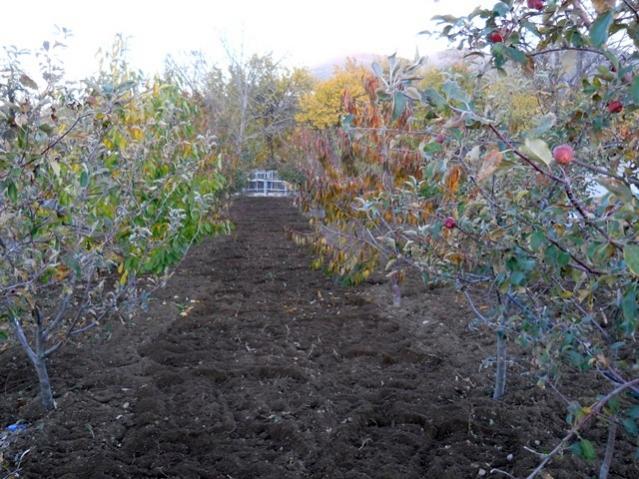 Name:  DSCN9051.jpg
Views: 673
Size:  66.4 KB