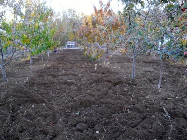 Name:  DSCN9050.jpg
Views: 704
Size:  69.7 KB